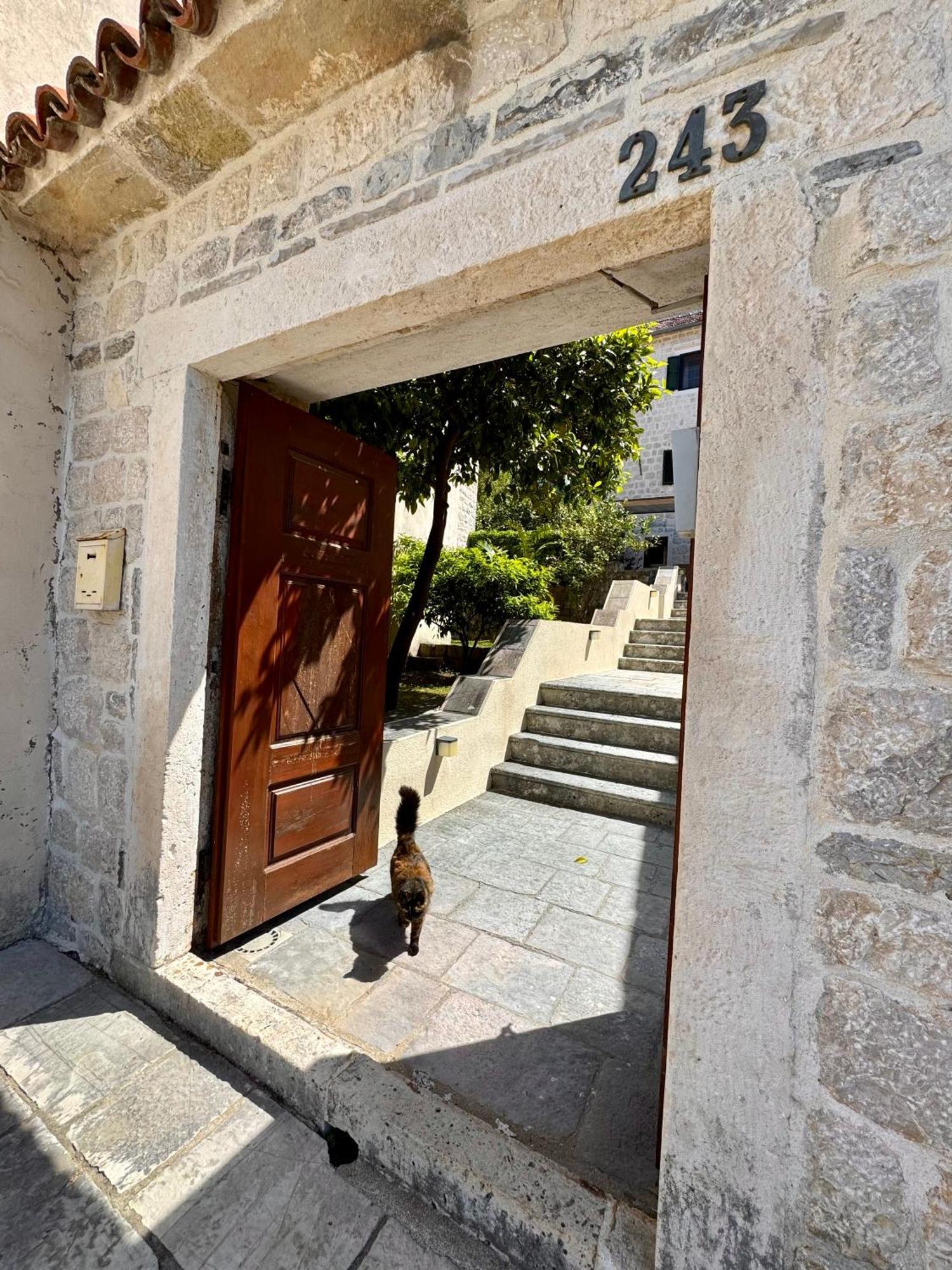 Apartments Radonicic Kotor Exterior photo
